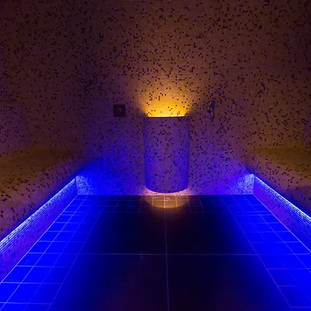 Otel Hotel Sopron 4*