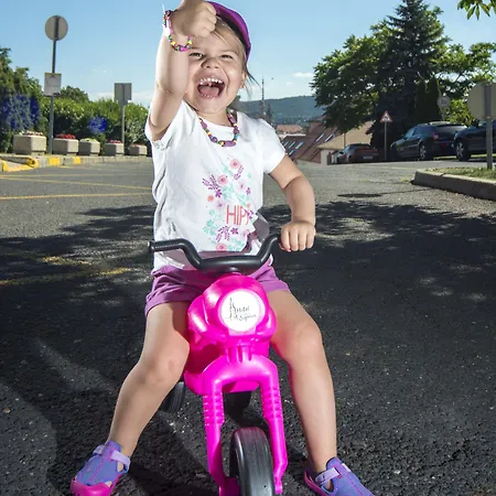 Ξενοδοχείο Hotel Sopron 4*