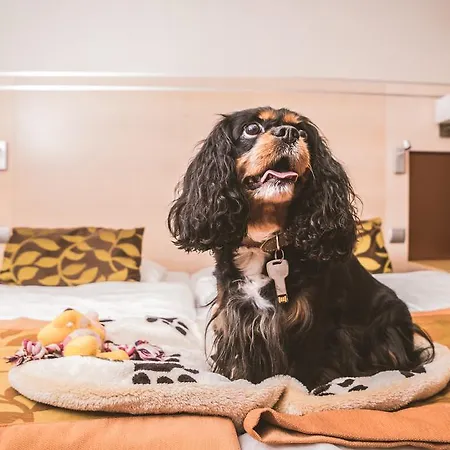 Hotel Sopron 4* Sopron