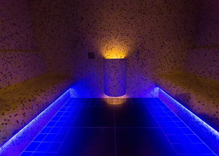 Hotel Hotel Sopron 4*