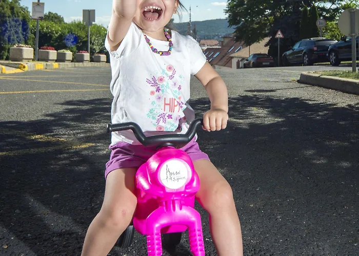 Hotel Hotel Sopron 4*