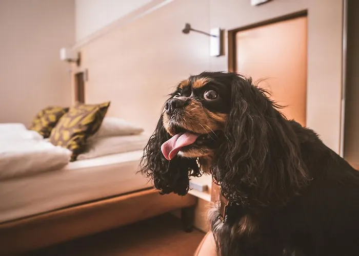 Hotel Sopron Hotel Sopron