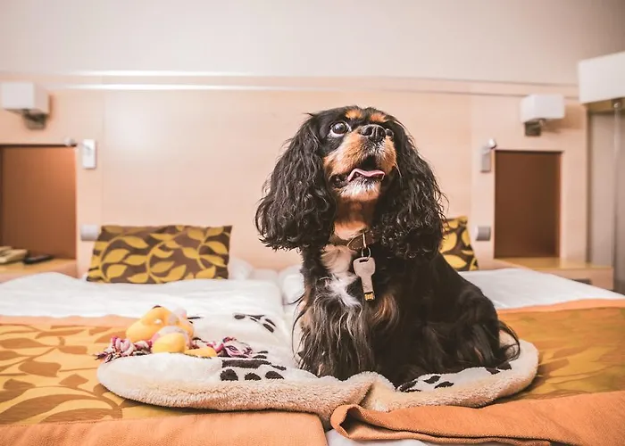 Hotel Sopron 4* Sopron